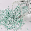 11/0 FGB Grade A Ceylon Glass Seed Beads X-SEED-N001-B-0487-1