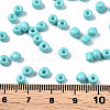 6/0 Glass Seed Beads SEED-S058-A-F437-4