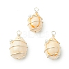 Natural Cowrie Shell Copper Wire Wrapped Pendants PALLOY-TA00196-02-1
