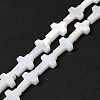 Natural Freshwater Shell Beads Strands X-BSHE-E026-18-1