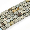 Natural Variscite Beads Strands G-N346-04A-11-2