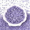 Transparent Inside Colours Glass Seed Beads SEED-T007-13I-1