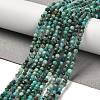 Natural Chrysocolla Beads Strands G-K373-B06-03-1