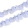 Natural Blue Lace Agate Beads Strands G-Z091-A37-4