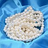 AB Color Plated Shell Pearl Round Bead Strands BSHE-L011-14mm-C001-2