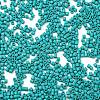Baking Paint Glass Seed Beads X-SEED-S042-05B-57-3