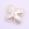 ABS Imitation Pearl Cabochons Accessories FIND-TAC0001-14A-2