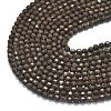 Natural Red Snowflake Obsidian Beads Strands G-A260-A14-01-3