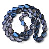 Transparent Electroplate Glass Bead Strands EGLA-C001-FR02-2