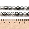 Baking Paint Pearlized Glass Pearl Round Bead Strands PEAR-H019-02C-05-2