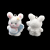 Flocky Opaque Resin Pendants RE-CBAC51B-04P-2