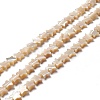 Natural Trochid Shell/Trochus Shell Beads SSHEL-O001-25B-01-3