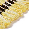 10 Skeins 6-Ply Polyester Embroidery Floss OCOR-K006-A07-2