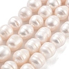 Natural Cultured Freshwater Pearl Beads Strands PEAR-P062-11A-2