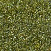 MIYUKI Delica Beads SEED-X0054-DB2377-3