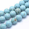 Natural Magnesite Beads Strands TURQ-G148-07-12mm-1