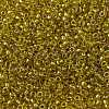 MIYUKI Round Rocailles Beads X-SEED-G009-RR3524-2
