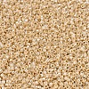 MIYUKI Delica Beads SEED-MY11-DB1561-3