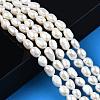 Natural Cultured Freshwater Pearl Beads Strands PEAR-N014-07H-6