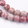 Natural Fossil Coral Beads Strands G-F563-01-8mm-3