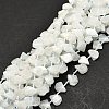 Raw Rough Natural Rainbow Moonstone Beads Strands G-E576-18-2