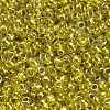 TOHO 8/0 Round Beads SEED-TR08-1013-3