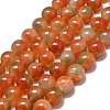 Natural Malaysia Jade Beads Strands G-L645-C01-14mm-29-1