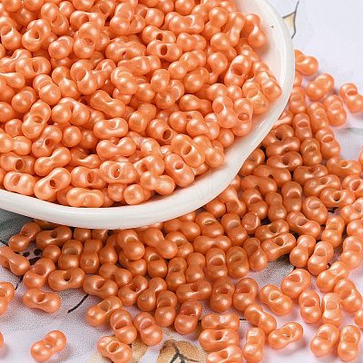 Glass Seed Beads SEED-L011-04A-04-1