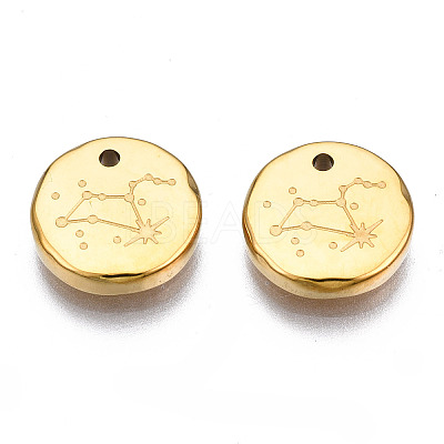 316 Surgical Stainless Steel Charms LS-STAS-S116-418H-G-1