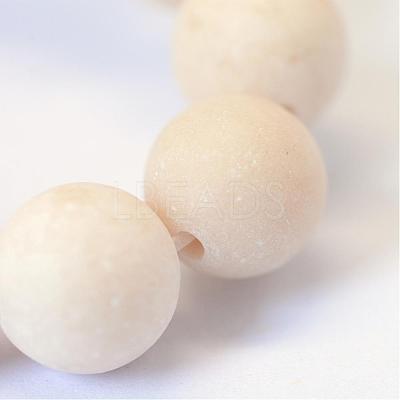 Frosted Natural Fossil Round Bead Strands G-E334-6mm-22-1