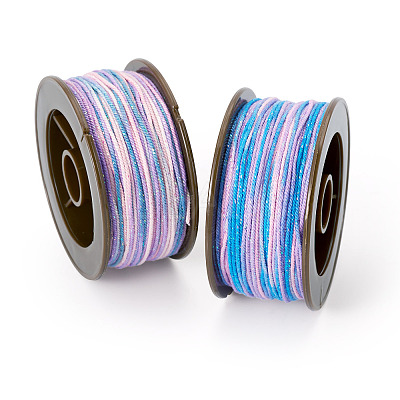 2 Rolls 2 Colors Segment Dyed Round Polyester Twisted Cords OCOR-TA0003-59B-1