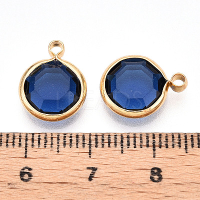 K9 Glass Charms GLAA-T023-37A-07-1