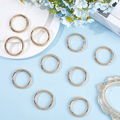 10Pcs Alloy Spring Gate Rings FIND-SP0001-38G-1