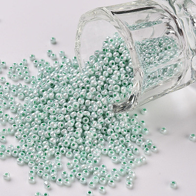 11/0 FGB Grade A Ceylon Glass Seed Beads X-SEED-N001-B-0487-1