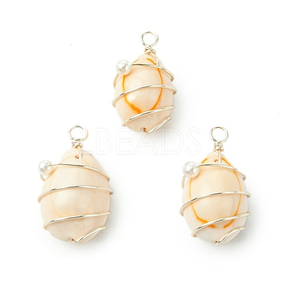 Natural Cowrie Shell Copper Wire Wrapped Pendants PALLOY-TA00196-02-1