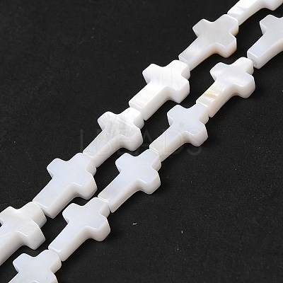 Natural Freshwater Shell Beads Strands X-BSHE-E026-18-1