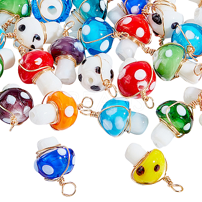 30Pcs Handmade Lampwork Charms FIND-PH0007-96-1