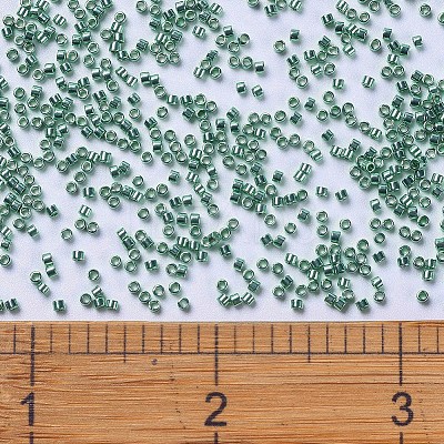 MIYUKI Delica Beads SEED-X0054-DB0426-1