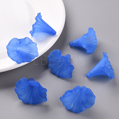 Transparent Acrylic Beads BSF796-C05-1