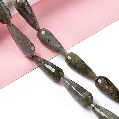 Natural Labradorite Beads Strands G-I328-07-1