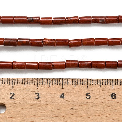 Natural Red Jasper Beads Strands G-P600-B03-01-1