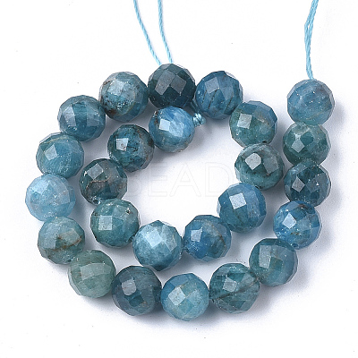 Natural Apatite Beads Strands X-G-S345-8mm-008-1