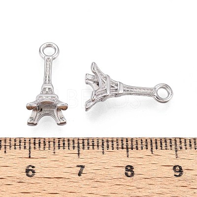 304 Stainless Steel Pendants STAS-N109-258P-1