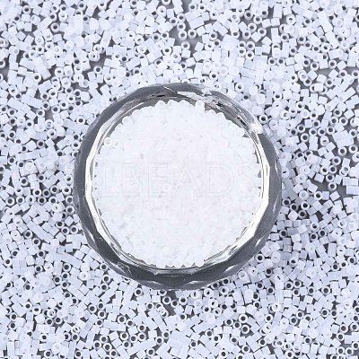FGB 11/0 Grade A Glass Seed Beads SEED-S030-1141-1