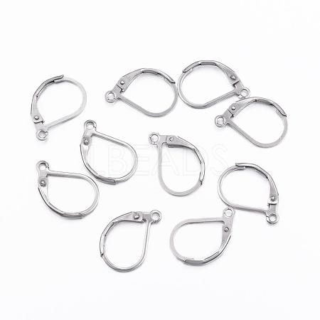 Tarnish Resistant 304 Stainless Steel Leverback Earring Findings STAS-F075-37P-A-1