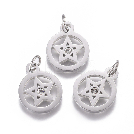 316 Surgical Stainless Steel Charms STAS-L242-04P-1
