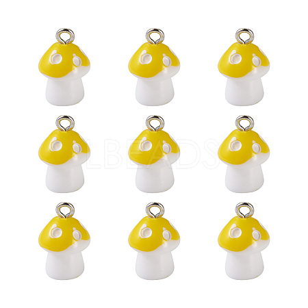 Plastic Pendants KY-TA0001-15B-1