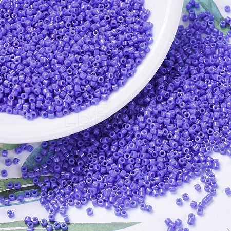 MIYUKI Delica Beads X-SEED-J020-DB0661-1