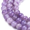 Natural Lepidolite/Purple Mica Stone Beads Strands G-K410-06-6mm-3