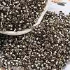 Glass Seed Beads SEED-S042-04A-09-1